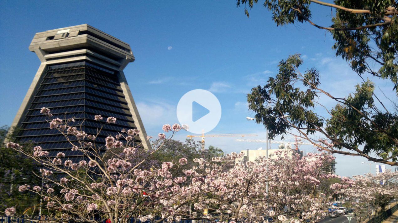 Ver vídeo: Consulta sobre Seguimiento de Disposiciones y Recomendaciones