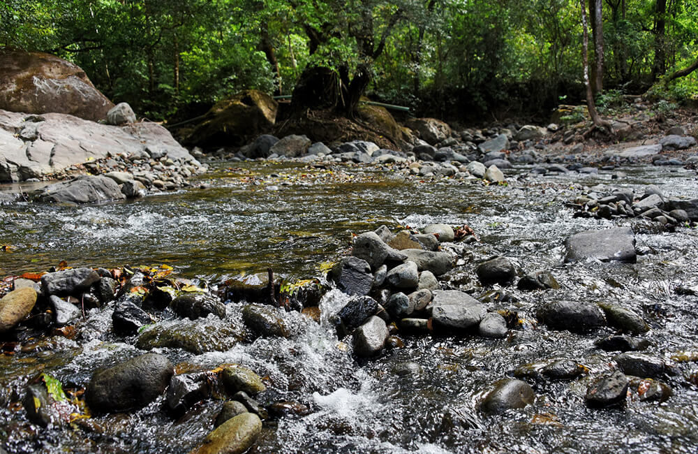 CGR alerta riesgos en seguridad del agua de ASADAS